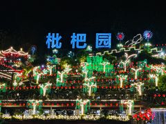 -枇杷园食为鲜火锅(南山店)