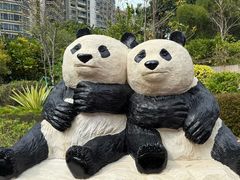 -石排湾郊野公园