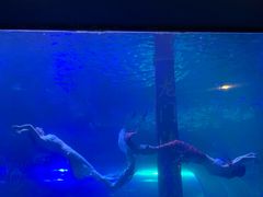 -洛阳龙门海洋馆