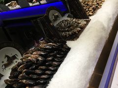-加餐海鲜自助(宝龙一城店)
