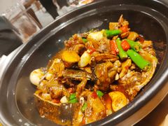 口味甲鱼-湘里乡亲甲王二老店