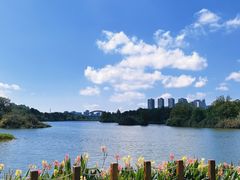 -观山湖公园