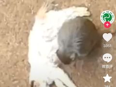 -昆明动物园