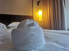 -三亚亚龙湾希尔顿酒店