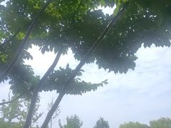 -金银湖国家城市湿地公园