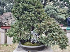 -苏州园林博物馆