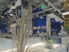 -兰湘子·湘菜小炒(崂山丽达店)