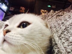 Mikaku-MIKAKU(万达广场上海宝山店)