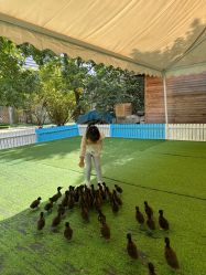 -萌宠亲子动物乐园(槐房万达店)