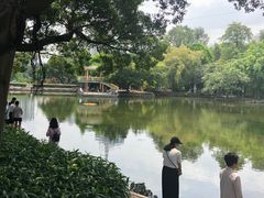 -晓港公园