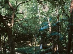 -南岗山公园