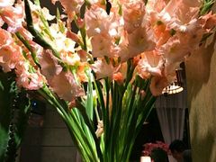 -春暖花开(西溪店)