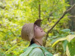 -素山寺森林公园