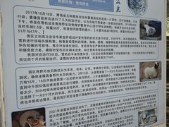 -青藏高原野生动物园