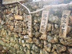 -玉湖村