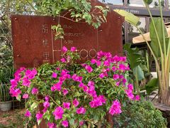 -胡桃里乐队酒馆(鎏嘉码头店)