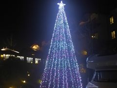 -浙江安吉JW万豪酒店·万豪中餐厅