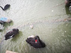 -无锡动物园·太湖欢乐园