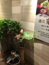 -金夫人美容