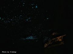 -怀托摩萤火虫洞