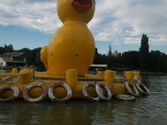 android_upload_pic-紫竹院公园冰场