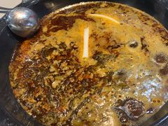 -大江美蛙鱼火锅(都江堰店)