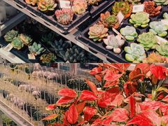 -KKV(深圳宏发大仟里店)