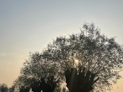 -汉长安城未央宫国家考古遗址公园