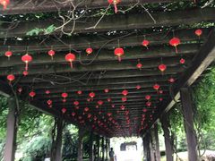 -白马涧龙池景区
