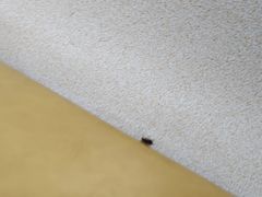 -锅老头铁锅炖•大锅蒸汽海鲜(韩乐坊店)