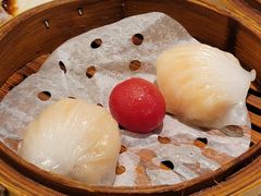 -益健美食大广场(北岭店)