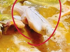 -石锅苗苗鱼(武汉首店)