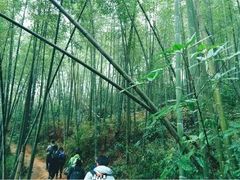 -千泷沟大瀑布旅游区