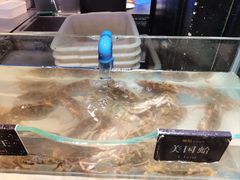 -加餐海鲜自助(集美银泰百货店)