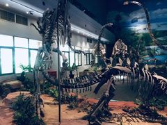 -自贡恐龙博物馆