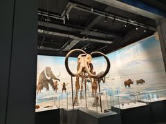-辽宁古生物博物馆