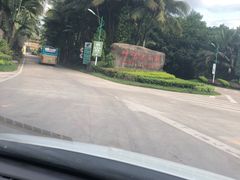 -呀诺达热带雨林