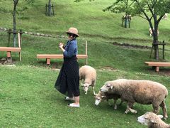 -神户市立六甲山牧场