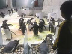 -大连圣亚海洋世界