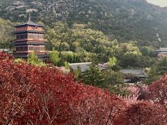 -石岛赤山风景区