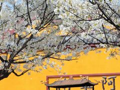 -龙华寺