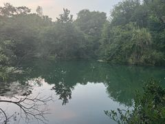 -花溪公园