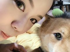 -逗柴咖啡屋·狗咖猫咖宠物桌游