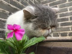 -老屋咖啡