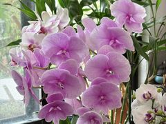 -ABCD咖啡屋(妇幼店)