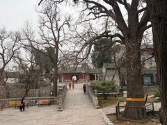 -北京凤凰岭