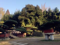 -水绘园