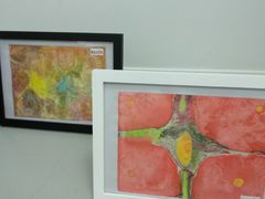 -斯坦星球AI编程·机器人科创·科学实验·信奥·思维·STEM·积木拼搭·竞赛考级(浦东联洋广场大拇指龙阳御桥中心)