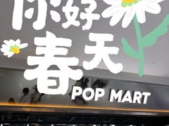 -泡泡玛特POPMART(合生汇店)