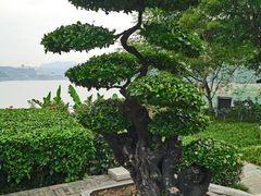 -白帝城·瞿塘峡景区